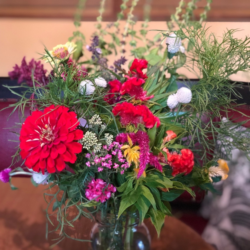 Meet your Posher, Carol